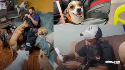Hombre convierte su casa en un refugio para perros de la calle