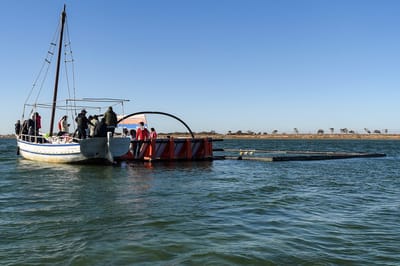 Esta es&nbsp;la barcaza que sirve de hospital en la isla Kerkennah de Túnez, la única del Mediterráneo.&nbsp; (Photo by Akim REZGUI / AFP)