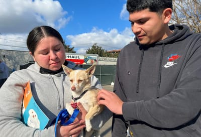 Erick Rico (derecha) y Jaylene Rosales reconocieron a Bombón, su chihuahua mestizo, por una publicación en las redes sociales de Pasadena Humane,&nbsp; y se reencuentran con él en el refugio de animales en Pasadena, California, el 17 de enero de 2025.&nbsp;(Paula RAMON / AFP)
