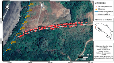 Los árboles están ubicados a lo largo de una calle de 500 metros. Foto: Tomada informe gestión ambiental Municipalidad de Santa Cruz.