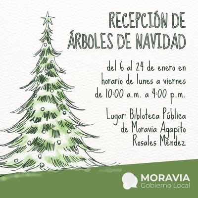 Campaña para reciclar árboles de navidad