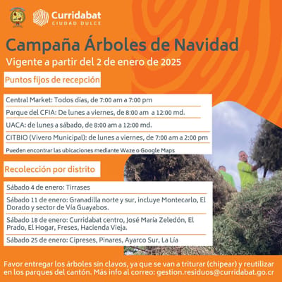 Campaña para reciclar árboles de navidad