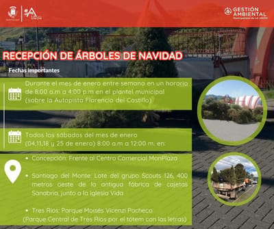 Campaña para reciclar árboles de navidad