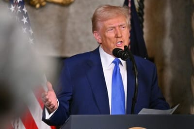 Donald Trump. (Foto: ROBERTO SCHMIDT / AFP)
