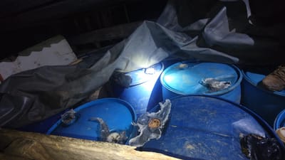 Carousel image
