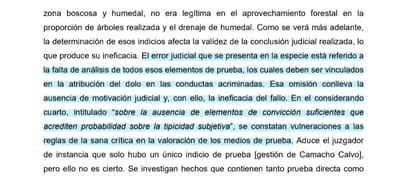 Extracto de la resolución de la jueza Delgado, emitida el 20 de febrero de 2025. Captura de pantalla/CRH