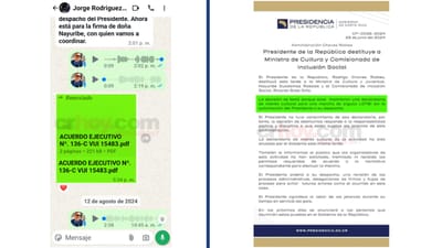 Jorge Rodríguez Boglé, viceministro de Presidencia, firmó la declaratoria de interés cultural de la marcha e hizo alusiones a trámites en el despacho del presidente Chaves. A la derecha el comunicado donde achacaban el despido a supuesta negligencia. CRH