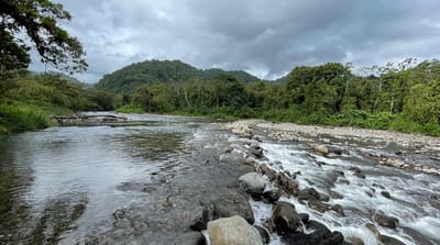 Río Caño Negro. (Tomada de Internet).