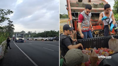 Decomisan más de 300 kilos de embutidos, huevos, queso y pollo por incumplir normativa sanitaria