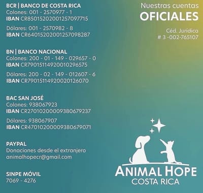 Si usted desea ayudar con la fundación, puede hacerlo a través de las cuentas que aparecen en la imagen