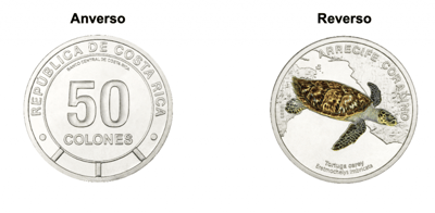 Moneda de ₡50 que destaca a la tortuga carey. (CRH).