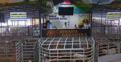 Carousel image
