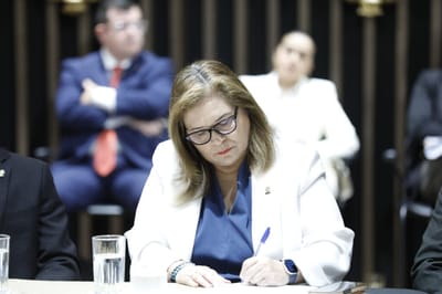 Ada Acuña, diputada oficialista. Archivo CRH/Con fines ilustrativos