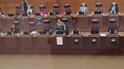 Dinorah Barquero, diputada del PLN, durante la sesión de este 27 de agosto de 2025. CRH