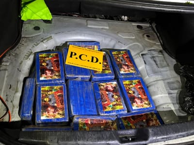 Decomiso de drogas efectuado por la PCD en Alajuela en setiembre pasado. Archivo CRH