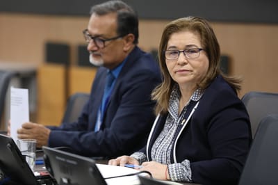 Ada Acuña, diputada del PPSD. Archivo CRH