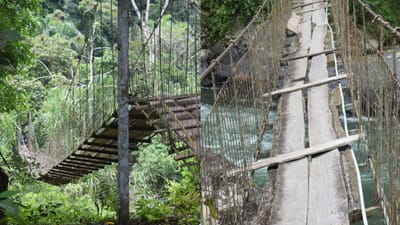 Estudiantes del TEC se unen para reparar puente que une a familias indígenas en Turrialba