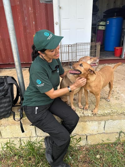 Carousel image