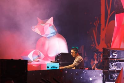 Foto: Agustín Muñoz.