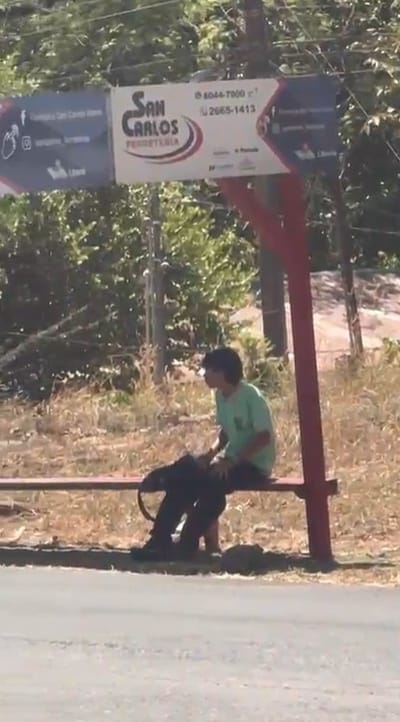 Carousel image