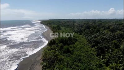 Los terrenos afectados por la tala ilegal por la organización criminal de "Pecho de Rata" están muy cerca de la Reserva de Vida Silvestre Gandoca-Manzanillo. Joel Morales CRH.