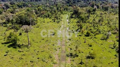 Las pista mide unos 400 metros de largo y cinco metros de ancho, según un experto piloto consultado quien prefirió no ser identificado. Joel Molares CRH.