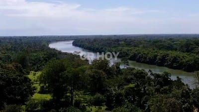 Los terrenos adquiridos por testaferros de "Pecho de Rata" están muy cerca del río Sixaola, frontera con Panamá. Joel Morales CRH.