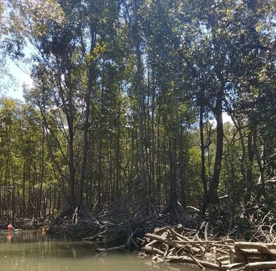 En la zona se abrió un canal de unos 500 metros, situación que está bajo investigación.