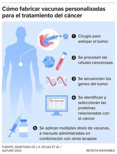 Las vacunas terapéuticas contra el cáncer se basan en mutaciones específicas del tumor de cada paciente. Una vez extirpado el tumor, los científicos recogen las células y analizan sus genes en busca de mutaciones. A continuación, crean vacunas personalizadas con esas mutaciones.