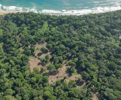 Daño ambiental investigado en Manzanillo