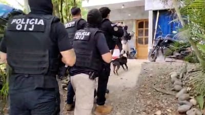 El OIJ de Limón realizó este martes cinco allanamientos en Cahuita.