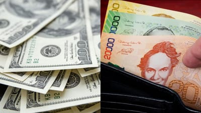 Moneda nacional y extranjera.