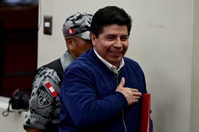 Expertos de la ONU consideran 