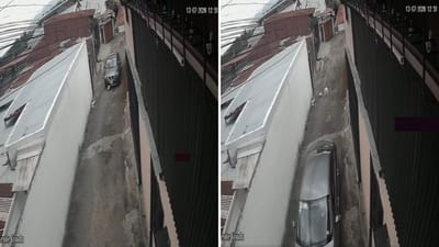 Atropello que causó la muerte de una perrita en San Antonio Del Tejar, Alajuela.
