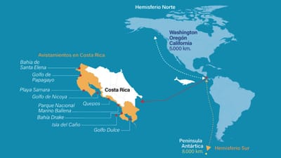 Avistamiento de ballenas en Costa Rica. Instituto Costarrience de Turismo. 