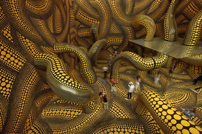 Carousel image