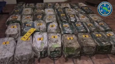Decomiso de droga que llevó al despido del juez. 