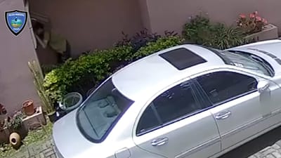 "Ladrón en serie" quedó grabado entrando a casas en Escazú: así lo atraparon