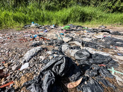 Basura en humedal de Coris