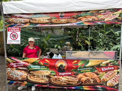 Actividades en el Parque Simón Bolívar. 