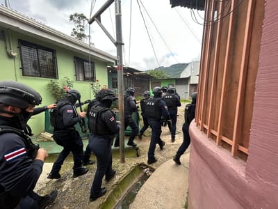 Operativo realizado por la PCD. Cortesía: MSP.