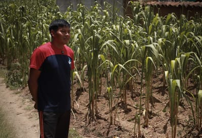 Santa Cruz del Quiché es uno de los territorios afectados por el déficit de lluvia registrado este año. Foto: La Hora/Daniel Ramírez.