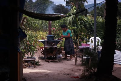 Verificaciones en campo permitieron identificar las condiciones de vulnerabilidad en que se encuentran varias familias, debido a la pérdida de cultivos, producto de la falta de lluvia. Foto: La Hora/Daniel Ramírez.