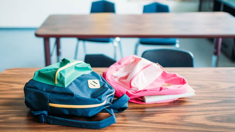 Proyectos de ley para reformar sistema educativo están varados porque comisión no sesiona