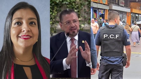 Directora de Policía de Control Fiscal designada por Chaves no cumpliría requisitos