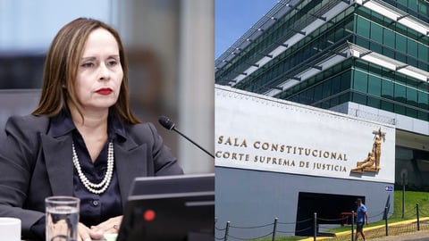 Constitución contradice argumento de Yara Jiménez sobre nombramiento de suplentes