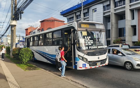 Buses