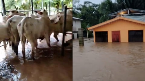 lluvias