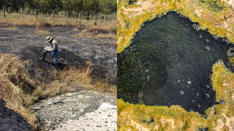 Termales del humedal de Coris