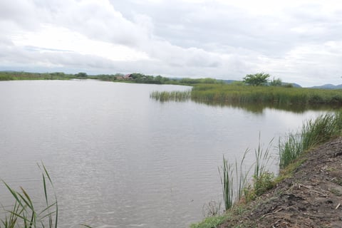 En el Tempisque, mantener agua en los humedales es un trabajo que vuelve a empezar cada año